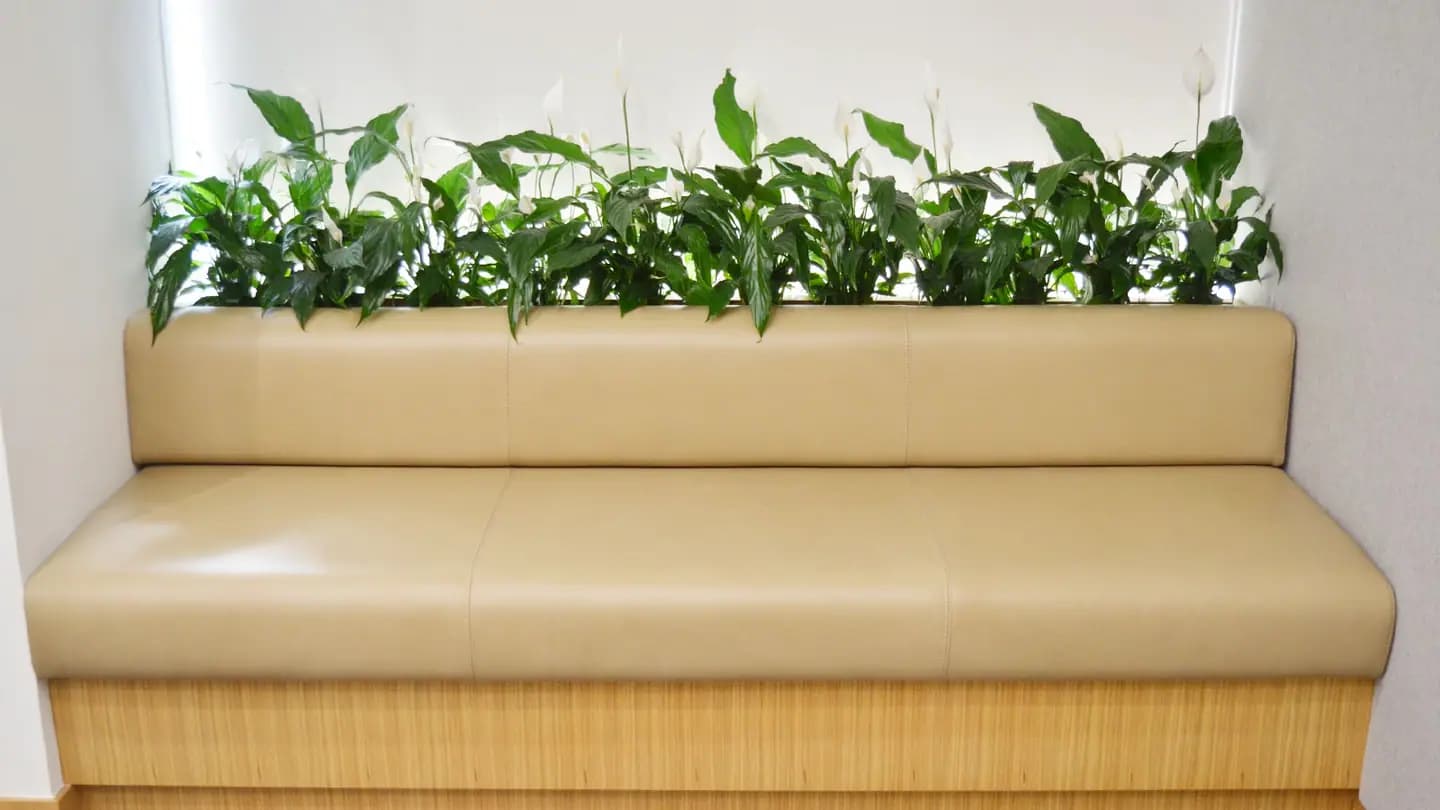 LinkedIn Office — photo 16