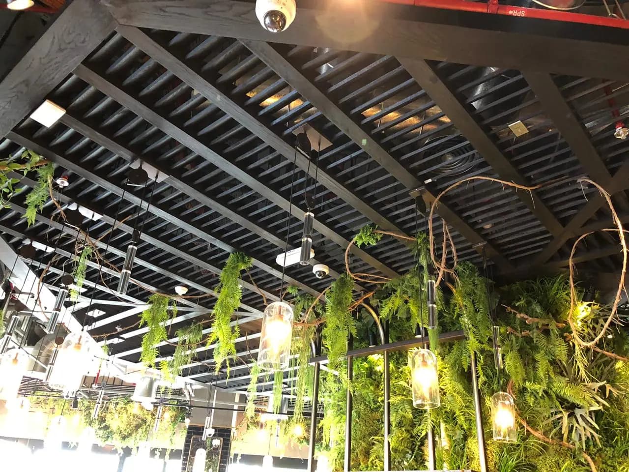 The London Project (Firmament Café) — photo 18